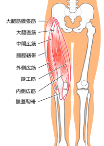 太もも〜ひざ